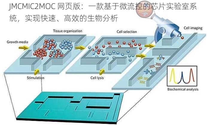 JMCMIC2MOC 网页版：一款基于微流控的芯片实验室系统，实现快速、高效的生物分析