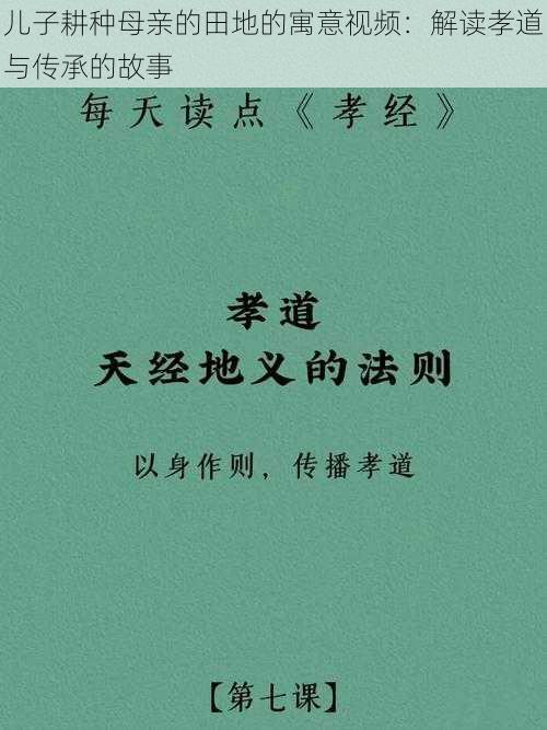 儿子耕种母亲的田地的寓意视频：解读孝道与传承的故事