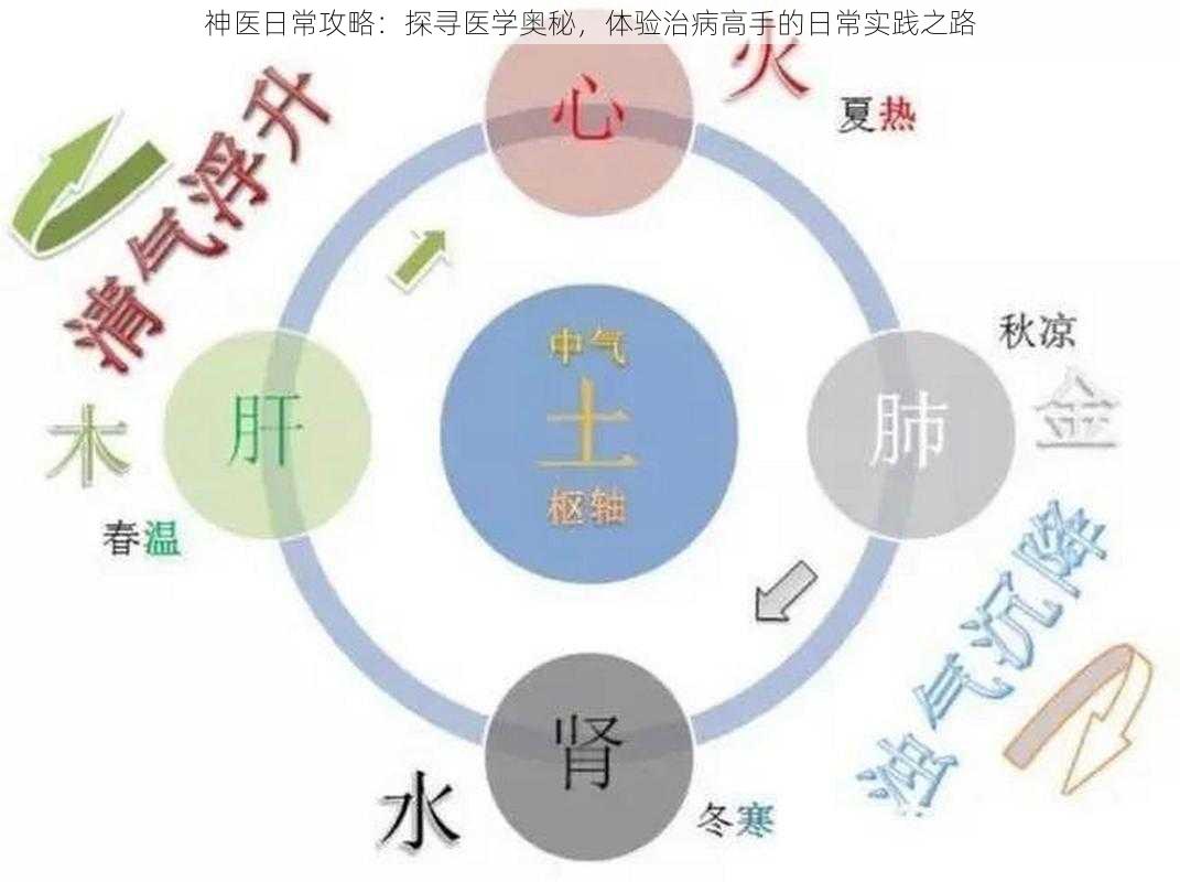 神医日常攻略：探寻医学奥秘，体验治病高手的日常实践之路