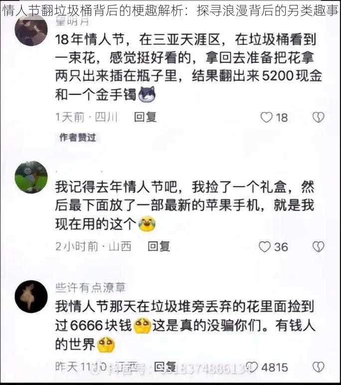 情人节翻垃圾桶背后的梗趣解析：探寻浪漫背后的另类趣事