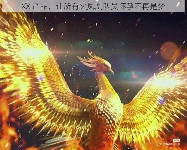 XX 产品，让所有火凤凰队员怀孕不再是梦