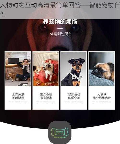 人物动物互动高清最简单回答——智能宠物伴侣