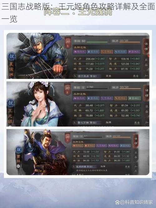 三国志战略版：王元姬角色攻略详解及全面一览