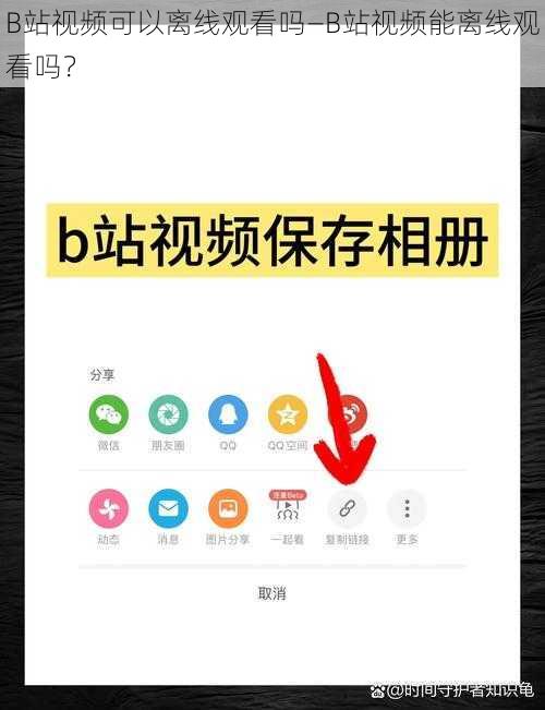 B站视频可以离线观看吗—B站视频能离线观看吗？