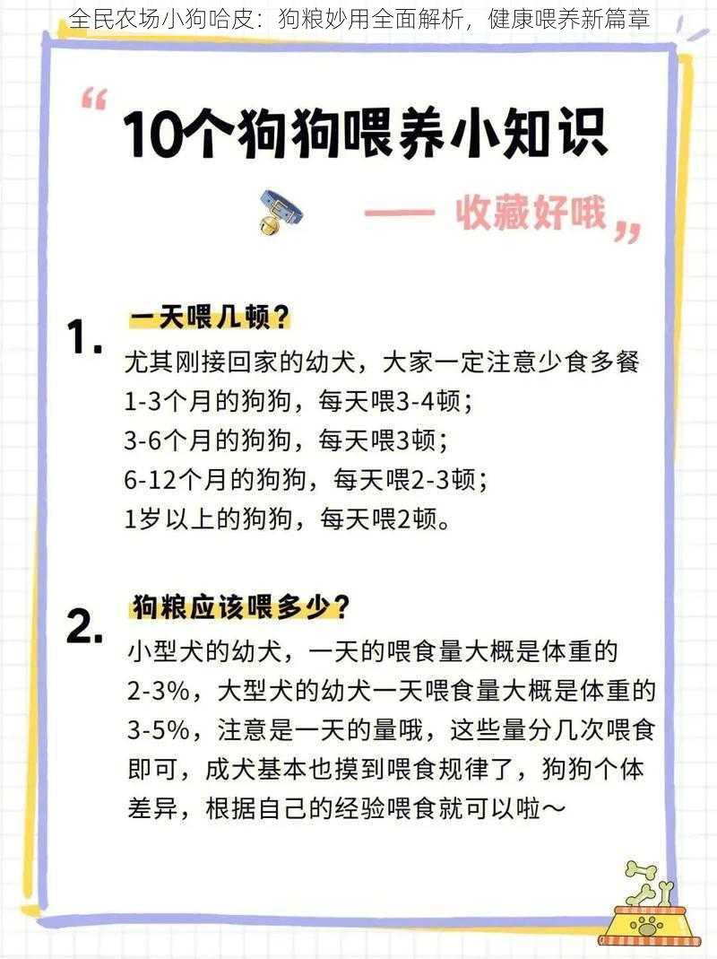 全民农场小狗哈皮：狗粮妙用全面解析，健康喂养新篇章