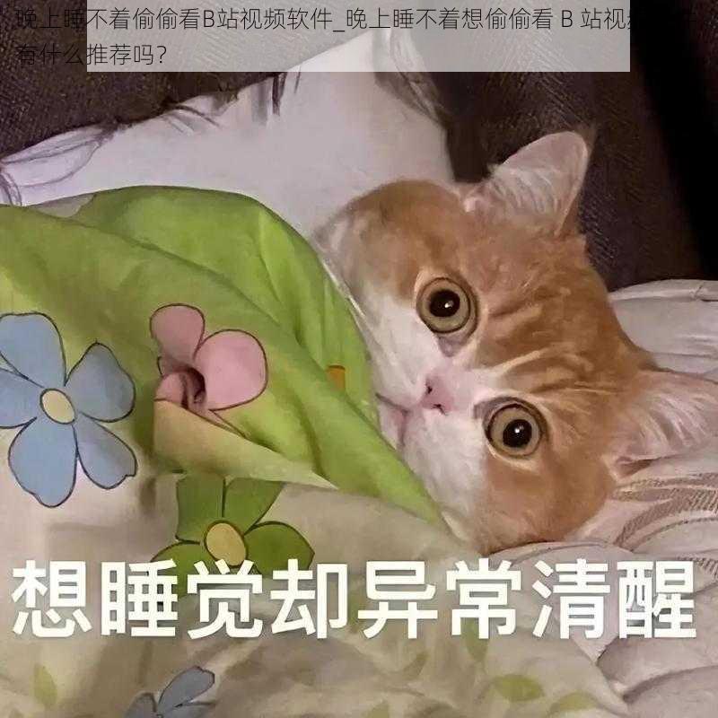 晚上睡不着偷偷看B站视频软件_晚上睡不着想偷偷看 B 站视频软件，有什么推荐吗？