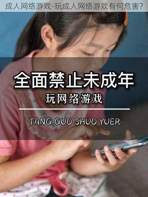 成人网络游戏-玩成人网络游戏有何危害？