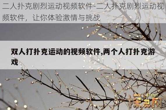 二人扑克剧烈运动视频软件-二人扑克剧烈运动视频软件，让你体验激情与挑战