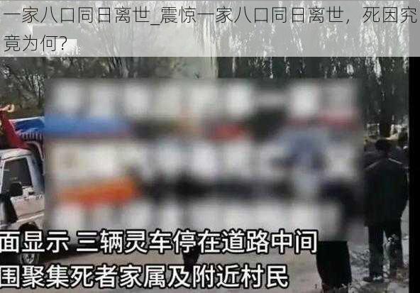 一家八口同日离世_震惊一家八口同日离世，死因究竟为何？