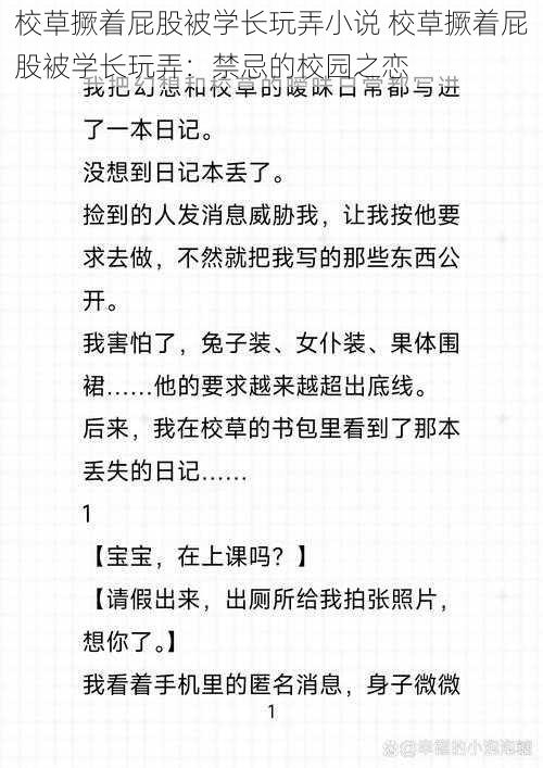 校草撅着屁股被学长玩弄小说 校草撅着屁股被学长玩弄：禁忌的校园之恋