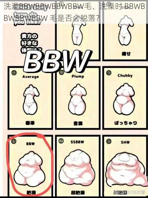 洗澡BBWBBWBBWBBW毛、洗澡时 BBWBBWBBWBBW 毛是否会脱落？