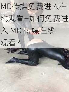 MD传媒免费进入在线观看—如何免费进入 MD 传媒在线观看？