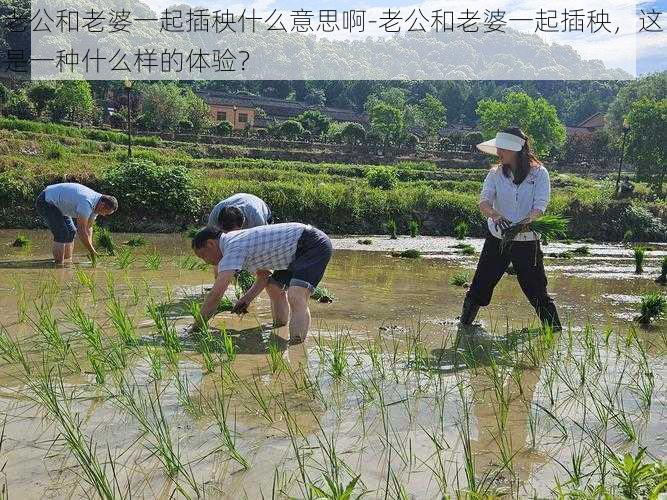 老公和老婆一起插秧什么意思啊-老公和老婆一起插秧，这是一种什么样的体验？