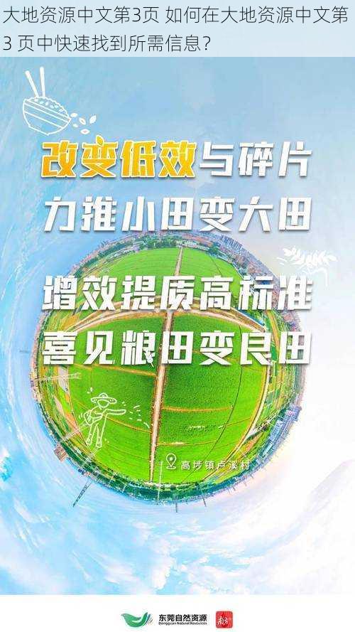 大地资源中文第3页 如何在大地资源中文第 3 页中快速找到所需信息？