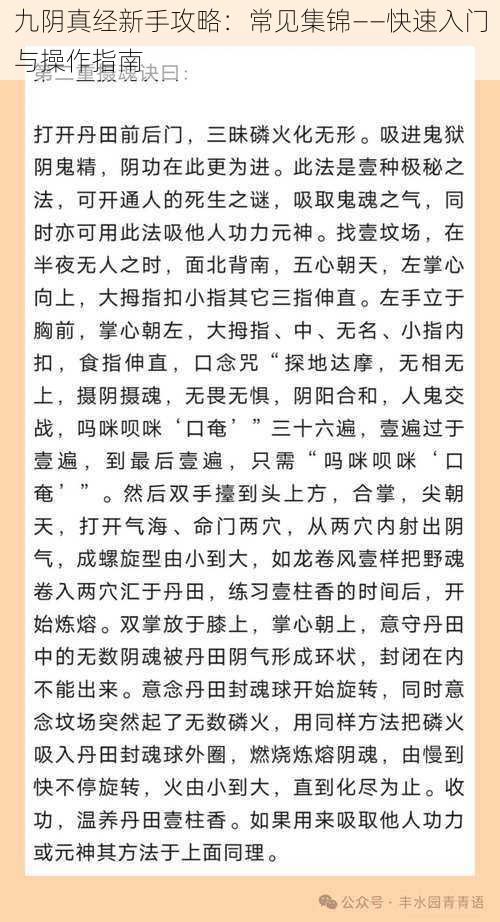 九阴真经新手攻略：常见集锦——快速入门与操作指南