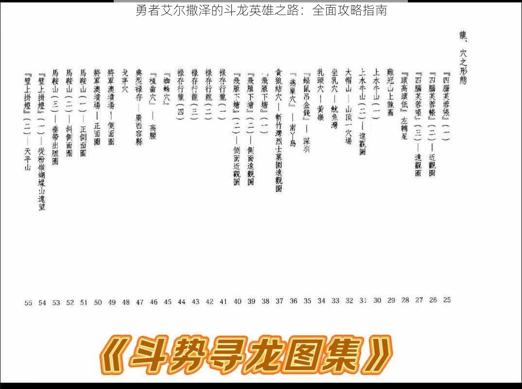 勇者艾尔撒泽的斗龙英雄之路：全面攻略指南