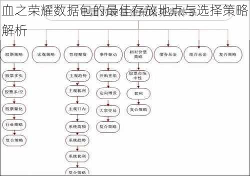 血之荣耀数据包的最佳存放地点与选择策略解析