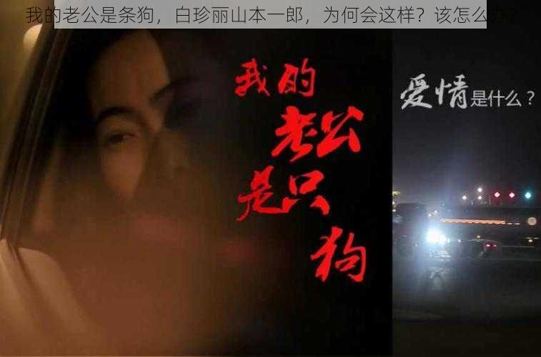 我的老公是条狗，白珍丽山本一郎，为何会这样？该怎么办？