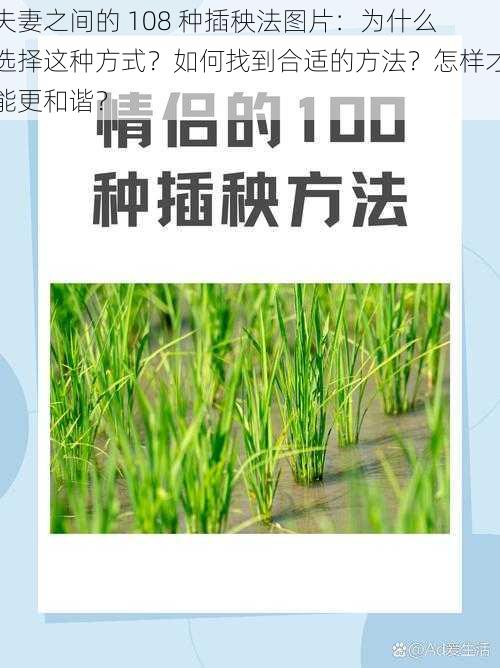 夫妻之间的 108 种插秧法图片：为什么选择这种方式？如何找到合适的方法？怎样才能更和谐？