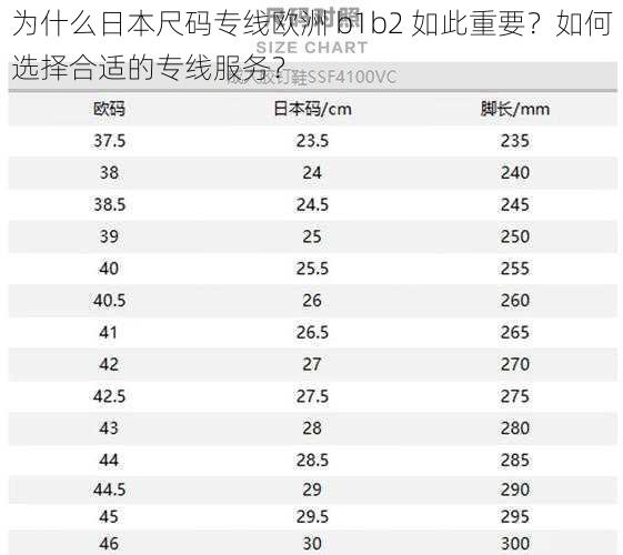 为什么日本尺码专线欧洲 b1b2 如此重要？如何选择合适的专线服务？