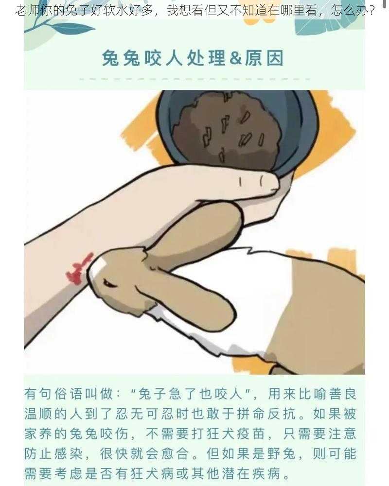 老师你的兔子好软水好多，我想看但又不知道在哪里看，怎么办？