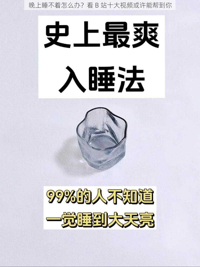 晚上睡不着怎么办？看 B 站十大视频或许能帮到你