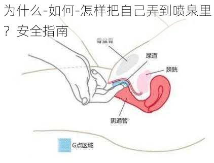 为什么-如何-怎样把自己弄到喷泉里？安全指南