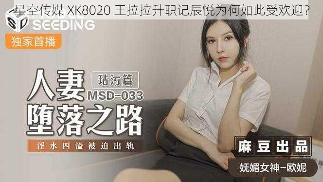 星空传媒 XK8020 王拉拉升职记辰悦为何如此受欢迎？