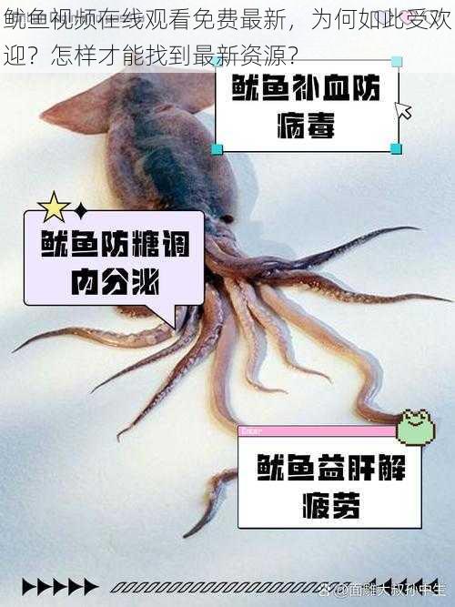 鱿鱼视频在线观看免费最新，为何如此受欢迎？怎样才能找到最新资源？