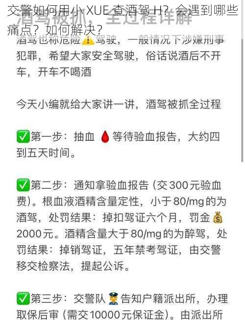 交警如何用小 XUE 查酒驾 H？会遇到哪些痛点？如何解决？