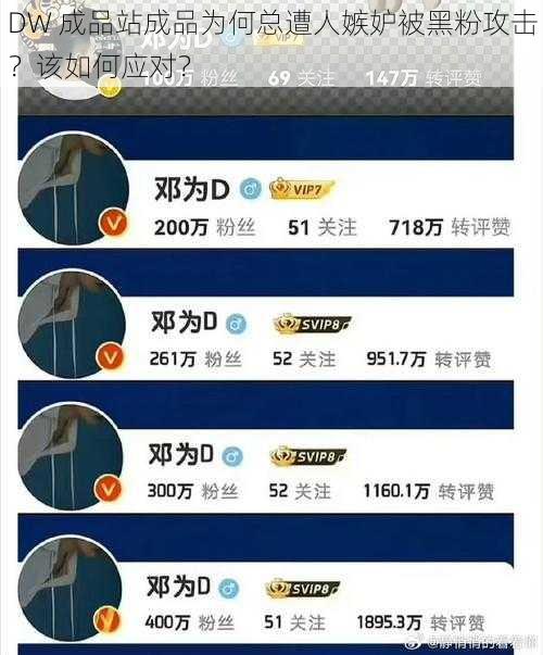 DW 成品站成品为何总遭人嫉妒被黑粉攻击？该如何应对？