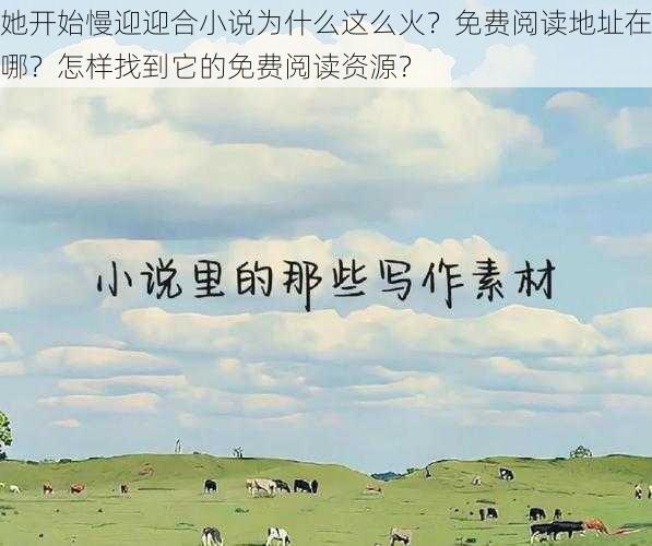 她开始慢迎迎合小说为什么这么火？免费阅读地址在哪？怎样找到它的免费阅读资源？