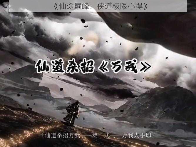 《仙途巅峰：侠道极限心得》