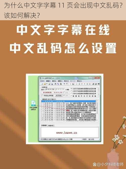 为什么中文字字幕 11 页会出现中文乱码？该如何解决？