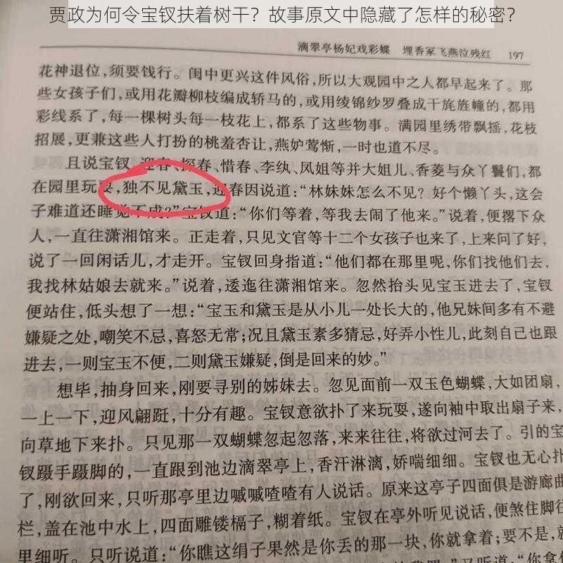 贾政为何令宝钗扶着树干？故事原文中隐藏了怎样的秘密？