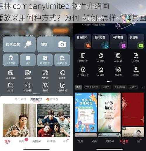 仙踪林 companylimited 软件介绍画质播放采用何种方式？为何-如何-怎样了解其画质？