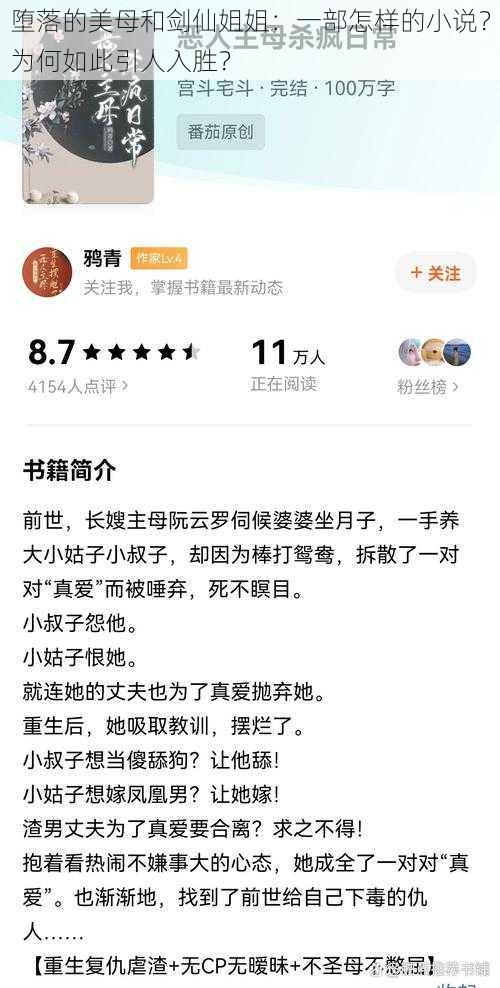 堕落的美母和剑仙姐姐：一部怎样的小说？为何如此引人入胜？