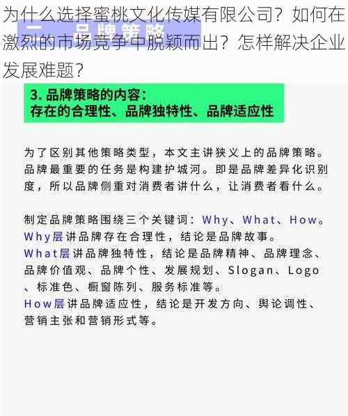 为什么选择蜜桃文化传媒有限公司？如何在激烈的市场竞争中脱颖而出？怎样解决企业发展难题？