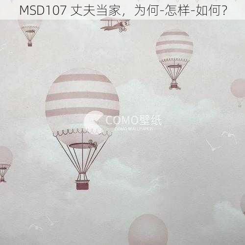 MSD107 丈夫当家，为何-怎样-如何？