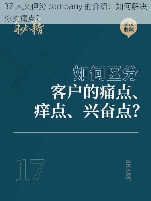 37 人文但汾 company 的介绍：如何解决你的痛点？