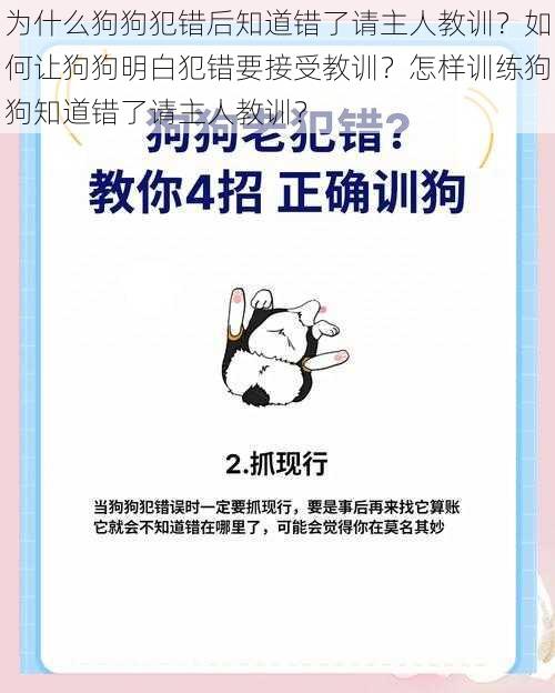 为什么狗狗犯错后知道错了请主人教训？如何让狗狗明白犯错要接受教训？怎样训练狗狗知道错了请主人教训？