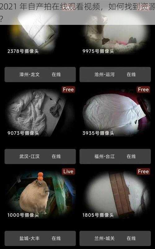 2021 年自产拍在线观看视频，如何找到资源？