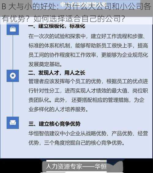 B 大与小的好处：为什么大公司和小公司各有优势？如何选择适合自己的公司？