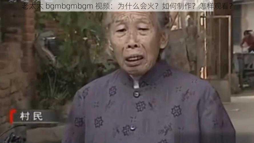 老太太 bgmbgmbgm 视频：为什么会火？如何制作？怎样观看？