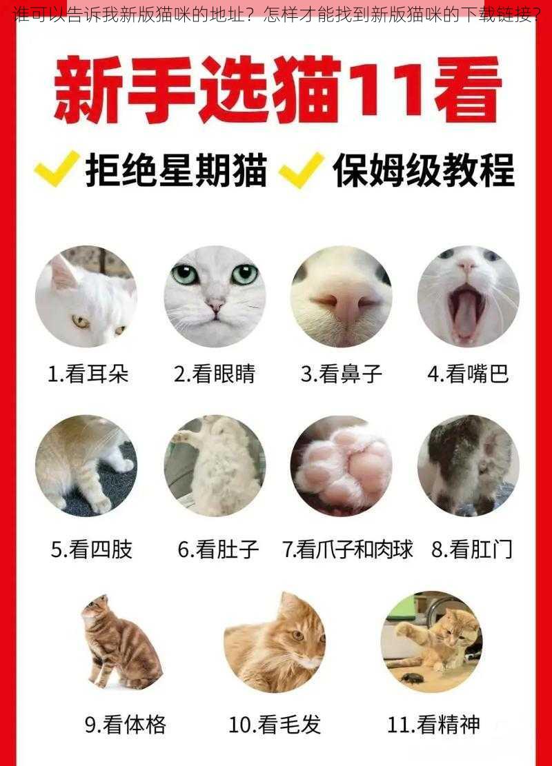 谁可以告诉我新版猫咪的地址？怎样才能找到新版猫咪的下载链接？