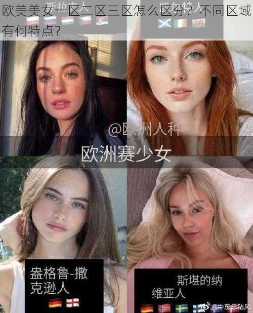 欧美美女一区二区三区怎么区分？不同区域有何特点？