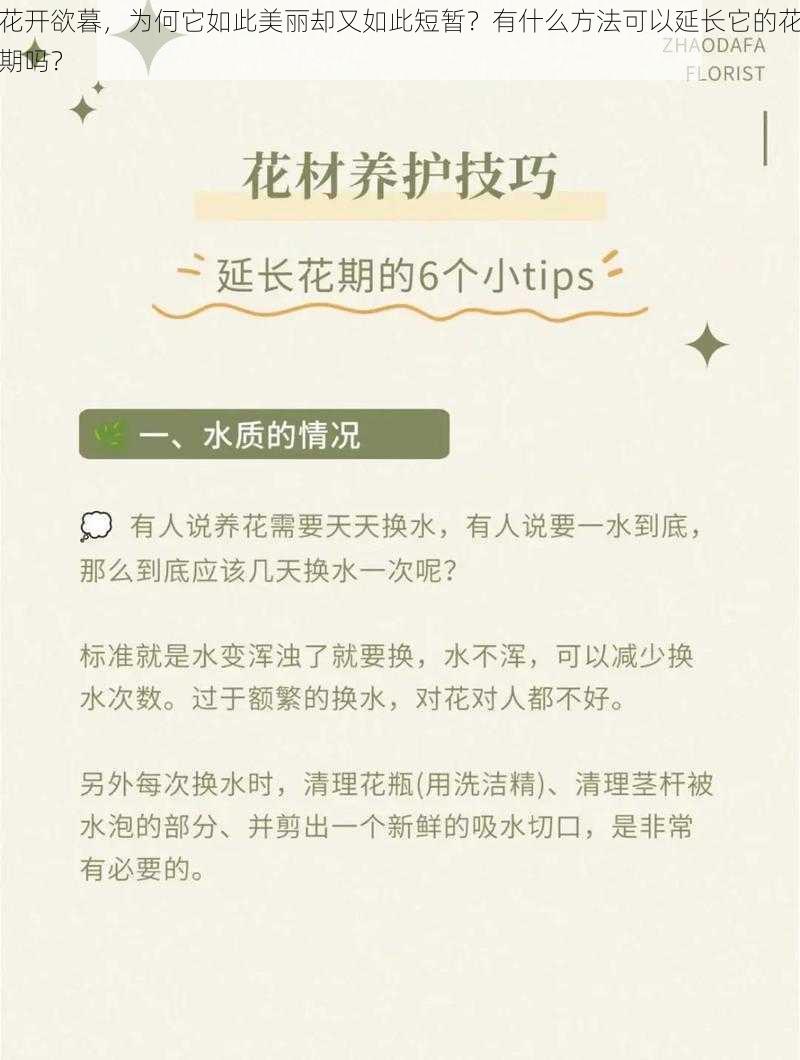 花开欲暮，为何它如此美丽却又如此短暂？有什么方法可以延长它的花期吗？